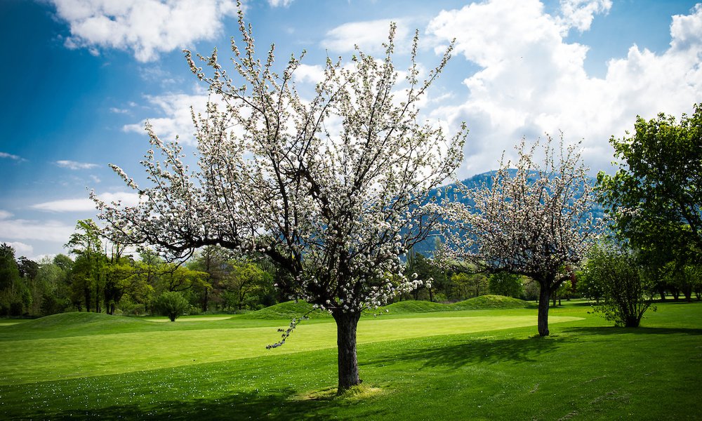 GOLF DE SION AU PRINTEMPS (PHOTO-GENIC.CH/ OLIVIER MAIRE)