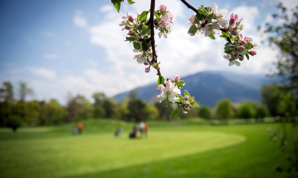 GOLF DE SION AU PRINTEMPS (PHOTO-GENIC.CH/ OLIVIER MAIRE)