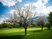 GOLF DE SION AU PRINTEMPS (PHOTO-GENIC.CH/ OLIVIER MAIRE)