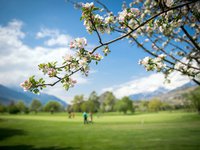 GOLF DE SION AU PRINTEMPS (PHOTO-GENIC.CH/ OLIVIER MAIRE)