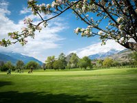 GOLF DE SION AU PRINTEMPS (PHOTO-GENIC.CH/ OLIVIER MAIRE)