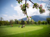 GOLF DE SION AU PRINTEMPS (PHOTO-GENIC.CH/ OLIVIER MAIRE)