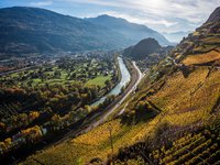 Le vignoble entre Sion Uvrier et St Léonard   Clavau, Vin Vins, raisin, vigne, viticulture, montagne, Alpes. Valais, mur de vigne. (PHOTO-GENIC.CH/ OLIVIER MAIRE)  plaine du Rhone Valais