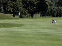 Pro Am Golf Club de Sion