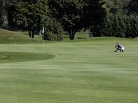 Pro Am Golf Club de Sion