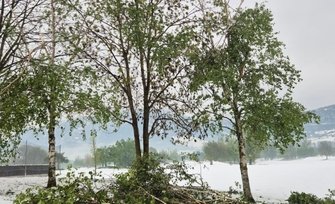 Dégâts sur le parcours