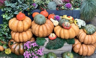 Coupe du CLUB, dimanche 2 novembre